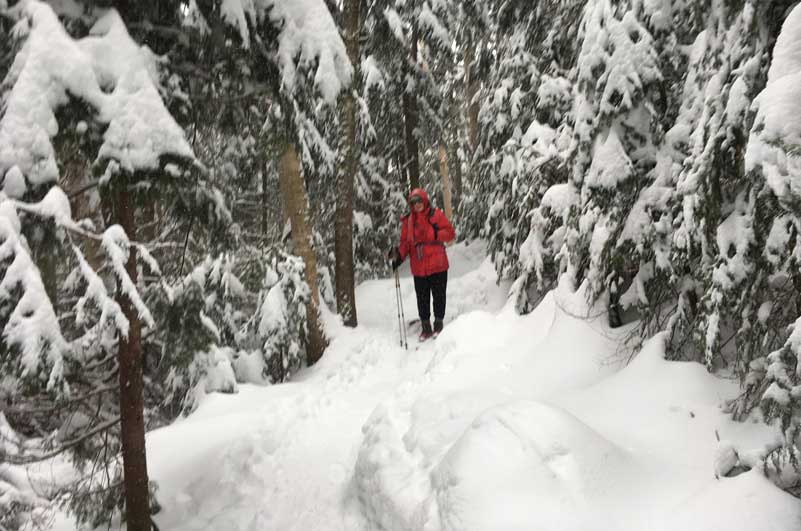 Lonesome Lake Trail