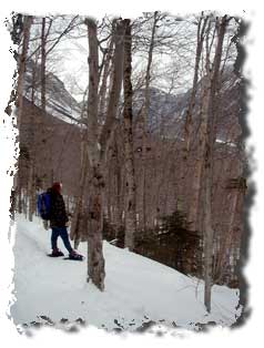 snowshoe